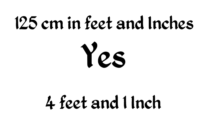 125 cm to 125 cm to inchesinches