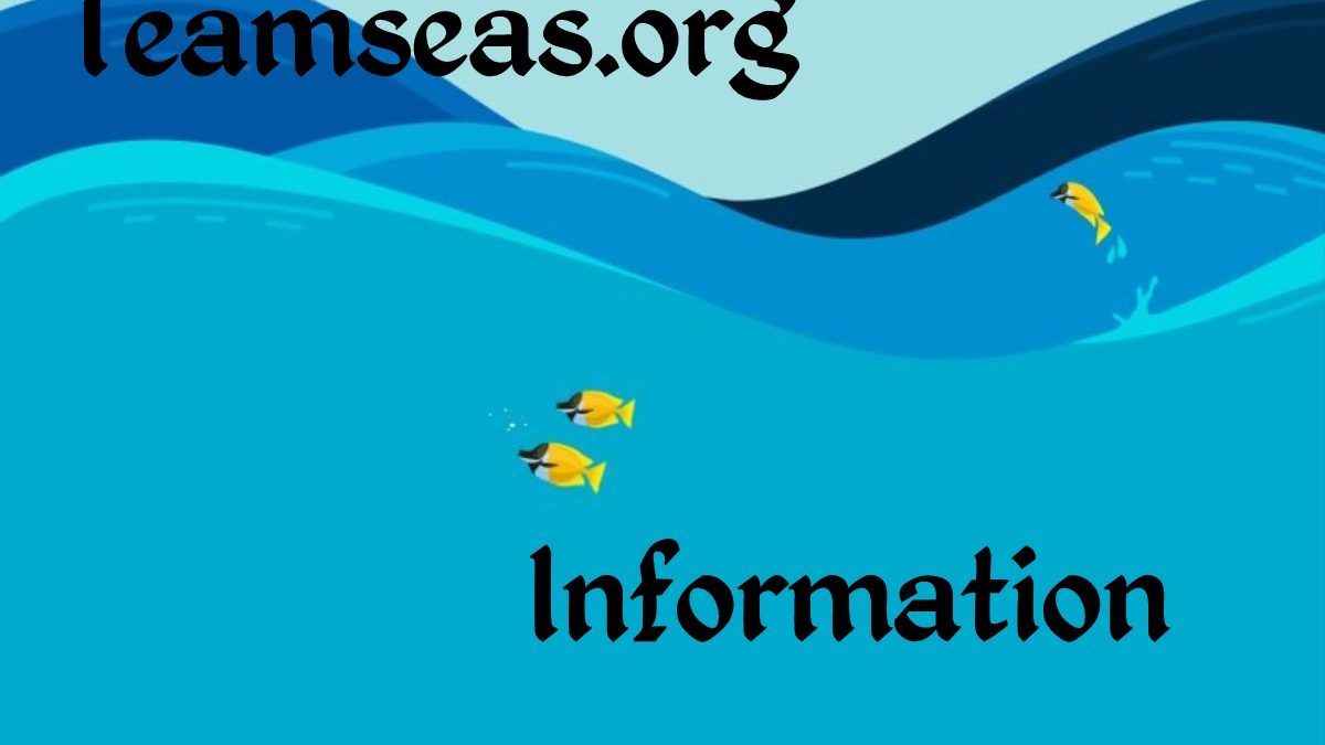 Teamseas.org Information