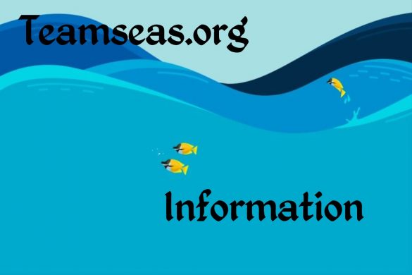 Teamseas.org