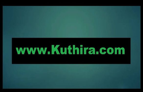 kuthira. com