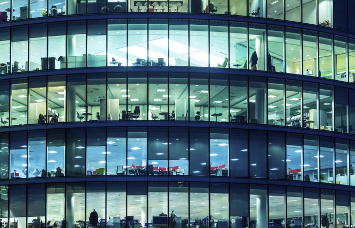 Company And Its Vision