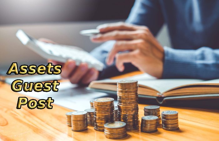 Assets Guest Post