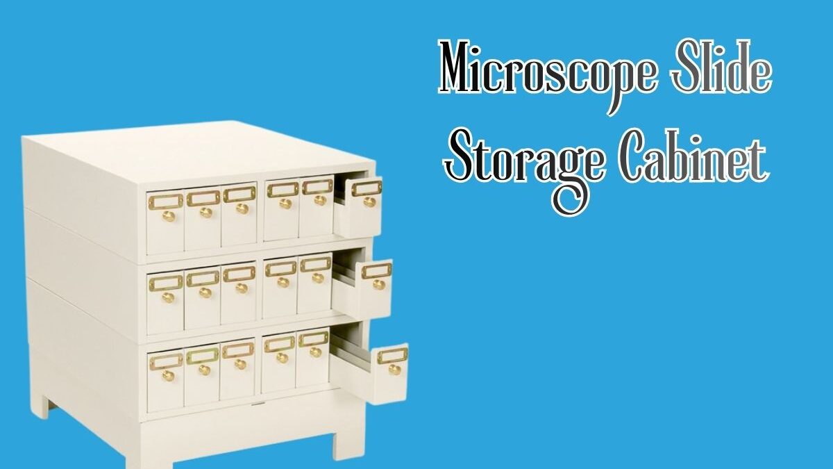 Top Features To Look For In A Microscope Slide Storage Cabinet