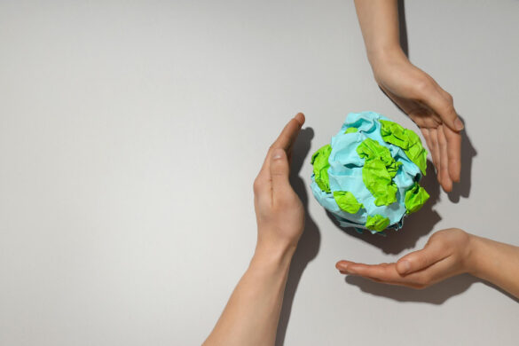 Carbon Reductions Overlooked Commercial Dividend